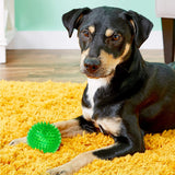Squeaky Balls for Dogs Small,Fetch Balls for Dogs Rubber 3 Pack Bright Colors Puppy Toys Dog Toy Balls Dog Squeaky Toys Spike Ball In Australia - Darrahopens