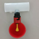 Automatic Drinking Bowl for Pigeon and Chicken Quail Drinking Device Chicken Drinking Bowl Drinking （red） In Australia - Darrahopens