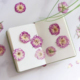 Large Purple Dried Pressed Flower for Resin, Big Real Nature Pressing Floral Leaves for DIY Craft, Candle Scrapbooking Supplies