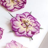 Large Purple Dried Pressed Flower for Resin, Big Real Nature Pressing Floral Leaves for DIY Craft, Candle Scrapbooking Supplies