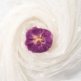 12 Pcs Dried Pressed Flowers Small Dry Flowers Real Natural Resin Filler for Scrapbooking DIY Resin Crafts Candle Decoration In Australia - Darrahopens