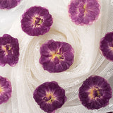 12 Pcs Dried Pressed Flowers Small Dry Flowers Real Natural Resin Filler for Scrapbooking DIY Resin Crafts Candle Decoration