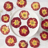 16 Pcs Dried Pressed Rose, Real Dried Pressed Flowers for Resin Scrapbook Supplies Card Making Soap Candle DIY Art Crafts In Australia - Darrahopens