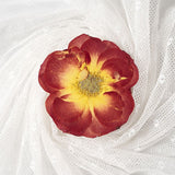 16 Pcs Dried Pressed Rose, Real Dried Pressed Flowers for Resin Scrapbook Supplies Card Making Soap Candle DIY Art Crafts In Australia - Darrahopens