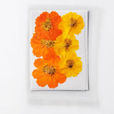 Dried Pressed Flowers for Resin Molds,Real Natural Pressed Flowers for DIY Art Crafts,Candle Making, Nails Décor,Phone Case（12pcs） In Australia - Darrahopens