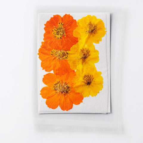 Dried Pressed Flowers for Resin Molds,Real Natural Pressed Flowers for DIY Art Crafts,Candle Making, Nails Décor,Phone Case（12pcs） In Australia - Darrahopens
