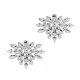 A Pair of Flower-shaped Rhinestones Crystal Shoe Clips Women Bride Wedding Party Jewelry Charms Buckle Shoe Decoration Accessories In Australia - Darrahopens