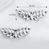 2 Pcs Rhinestone Metal Shoe Clips Detachable Ladies Shoe Embellishments Wings Shaped Shoe Buckle for High Heels Accessories Silver In Australia - Darrahopens