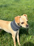 Quiet Ears for Dogs Hats Hoodies Dog's Ear Muffs Headband Noise Ear Protection for Dogs,No Flap Ear Wraps for Dogs Grey S In Australia - Darrahopens