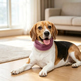 Dog Neck and Ears Warmer Pet Hoodie Warm Winter Dog Comfort Hat Soft Headwear for Long Ears for Anxiety Dog Calming