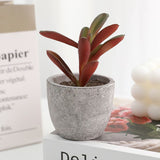 Artificial Potted Plant, Small Artificial Plant, Artificial Fake Plant, Office Home Wall Decoration (3 pcs)