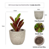 Artificial Potted Plant, Small Artificial Plant, Artificial Fake Plant, Office Home Wall Decoration (3 pcs)