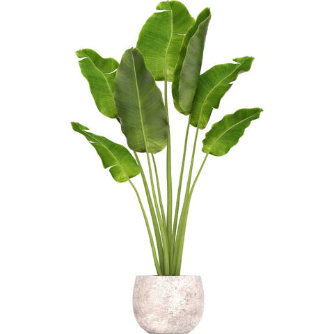 Green Plant Wall Decals 3D Potted Plant Wall Stickers Removable Bonsai Decals Peel and Stick Art Murals for Bedroom Livingroom