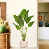 Green Plant Wall Decals 3D Potted Plant Wall Stickers Removable Bonsai Decals Peel and Stick Art Murals for Bedroom Livingroom