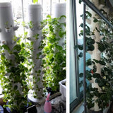 80X Hydroponic Vertical Tower Container DIY Hydroponic Planting Cup Flower Container Plant Growth Pot Cup In Australia - Darrahopens
