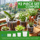 30Pcs Clear Nursery Pots with Multiple Drainage Holes & Dedicated Tray Transparent Seedling Flower Pot for Succulent Herb Orchid Flower In Australia - Darrahopens