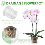30Pcs Clear Nursery Pots with Multiple Drainage Holes & Dedicated Tray Transparent Seedling Flower Pot for Succulent Herb Orchid Flower
