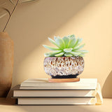 Darrahopens Home & Garden > Decor > Vases & Table Decor 3.94 Inch Round Ceramic Succulent Planter Pot with Drainage Hole and Attached Saucer, Glazed Shallow Cute Indoor Pot for Cactus, Small Flower Pots, Home Garden Decor (Plants Not Included) In Australia - Darrahopens