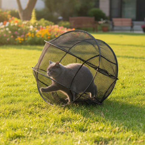 Clearance!360° Panoramic Rolling Cat Playpen - Indoor & Outdoor Safe Enclosure, One-Click Setup & Easy Storage, Breathable & Washable In Australia - Darrahopens
