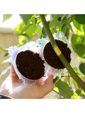 5Pcs Plant Root Growing Box Propagation Ball Reusable Grafting Device Garden Plant Rooting Ball incubator Tree Grafting Rooting Device Plant Fast Growth Air Layering Pod S