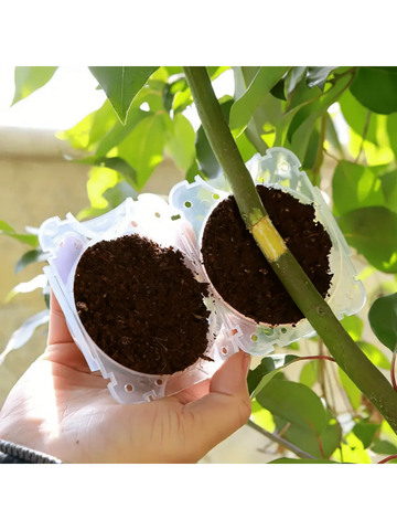 5Pcs Plant Root Growing Box Propagation Ball Reusable Grafting Device Garden Plant Rooting Ball incubator Tree Grafting Rooting Device Plant Fast Growth Air Layering Pod S