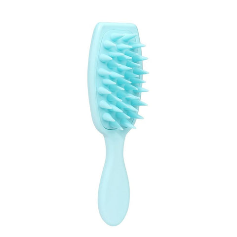 2PCS Hair Comb - Home Use Long Handle Shampoo Brush for Scalp Massage and Deep Cleansing(Wavy/Curly/Coily/Wet/Dry/Oil/Thick/Long Hair, Knots Detangler Scalp Massage Comb  for Women (2 pcs, Pink & blue)) In Australia - Darrahopens