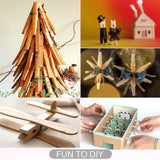 Small Clothes Pin, Mini Clothespins, 100 PCS Mini Clothes Pins Wooden with Storage Bag, Small Clothes Pins for Photos, Crafts