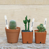 100 Pcs 4.7 Inch Thick Plastic Plant Garden Labels Nursery Garden Labels Stake Tags Plant Name Tags Waterproof Plant Tags Plant In Australia - Darrahopens