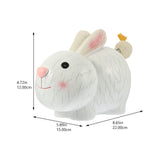 Piggy Bank Novelty Coin Bank Kids Coin Bank Easter Rabbit Statues Cute Cash Coin Can Bunny Coin Bank Coin Bank for Kids Cartoon In Australia - Darrahopens
