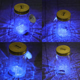 Butterfly in a Jar, Glass Animated Butterfly Jar That Moves With LED Light, Romantic Gift for Valentine's Day, Christmas Decoration In Australia - Darrahopens