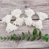 White Matte Stamens for Crafts, 1300 Pcs Stamens for Artificial Flowers DIY Wedding Party Home Scrapbook Decoration In Australia - Darrahopens