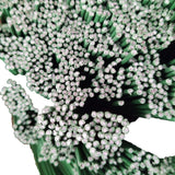 100pcs/Package Green Floral Stem Wire for Artificial Flower Making 12 inch Plastic Twist Ties Plant Ties Reusable In Australia - Darrahopens