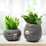 Unique Tooth Indoor Planter Pot Set-2,Funny Small Succulent Plant Pot,Novelty Home Decor Flower Pot,Cute Halloween Resin Flowerpot