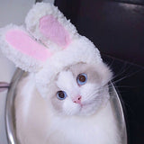 Cat Easter Cute Costume Pet Bunny Rabbit Hat with Ears for Cats Small Dogs Puppy Easter Party Costume Accessory Headwear In Australia - Darrahopens
