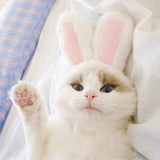 Cat Easter Cute Costume Pet Bunny Rabbit Hat with Ears for Cats Small Dogs Puppy Easter Party Costume Accessory Headwear