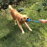5 pcs Dog Balls Squeaky Small Dog Toys Puppy Toys Dog Chew Toy for Small Medium Dogs Interactive Durable Toys -Color random