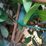 100 Pieces Adjustable Garden Plant Twist Ties,Flexible Garden Plant Ties,Plastic Twist Ties Multi-Use for Secure Vine (Green) In Australia - Darrahopens
