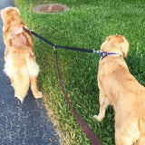 Double Dog Walker Leash, in Length, Head Tilt Adjustable, Tin Alloy Snaps, Suitable for Dogs and Puppies