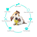 Dog Chew Toys for Toothbrush Multifunctional Teeth Cleaning and Gum Massage Durable Cactus-Shaped Dog,Tough Toys for Large In Australia - Darrahopens