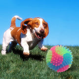 2 Pack Light up Balls for Dogs for Fetch Spiky Squeaker Dog Ball LED Spiny Glow in The Dark Flashing Elastic Tennis Ball In Australia - Darrahopens