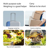 110lb/50kg Fish Scales Backlit LCD Portable Electronic Balance Digital Fishing Scale Hanging Scale with Measuring Tape Ruler In Australia - Darrahopens