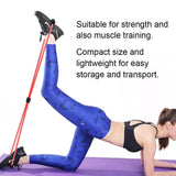 Shaped Resistance Bands, Elastic Fitness Pulling Rope Chest Expander Yoga Rubber Tension Band for Abdomen Waist Arm