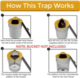 Bucket Lid Mouse Rat Trap, Mouse Catching Tool, Trap Door Style, Multi Catch, Auto Reset, Indoor Outdoor In Australia - Darrahopens