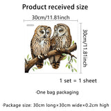 Window Stickers Owl Static Glass Clings Window Decals Owl on a Branch Reusable for Home Display Window Decor In Australia - Darrahopens