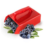 Blueberry Picker, Blueberry Pick up Scoop Berry Harvester Tool with Metal Combo, Egronimic Handle, Elderberry Picking Rake