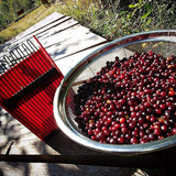 Blueberry Picker, Blueberry Pick up Scoop Berry Harvester Tool with Metal Combo, Egronimic Handle, Elderberry Picking Rake