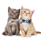 Cat Collar Breakaway with Cute Bowtie Bell - 2 Pack Kitten Collar with Removable Shirt Collar Pet Plaid Collars (Beige&Blue)