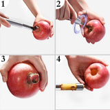 Multi-Function Corer and Pitter Remover Set, Stainless Steel Core Remover Tool for Apple, Pear, Cherry, Jujube, Red Dates or More In Australia - Darrahopens