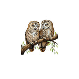 Window Stickers Owl Static Glass Clings Window Decals Owl on a Branch Reusable for Home Display Window Decor