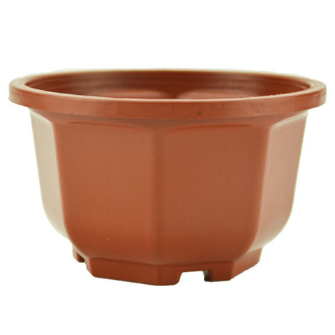 15 Pcs coffee Plastic Hanging Planter Hanging Plant Pots Hanging Plant Containers with Drainage Holes and Hooks for Balcony In Australia - Darrahopens